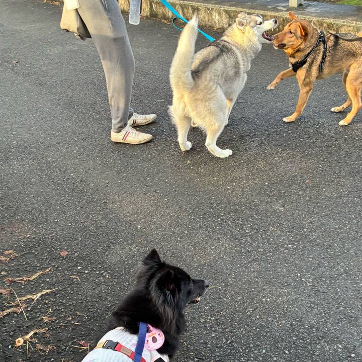 Ab271b1b d82a 4a38 9671 e1294858468b 1759362572717