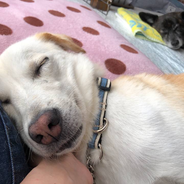 Ab272834 01f7 40b6 8e8f 2514a1174624 1623326139864