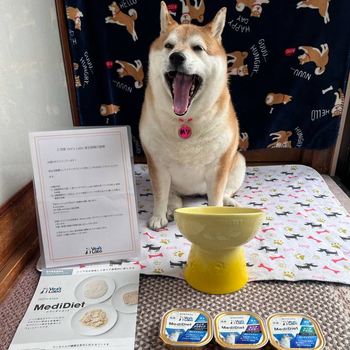 Ab274305 6d19 4b41 9906 a335992873a4 1676236168678