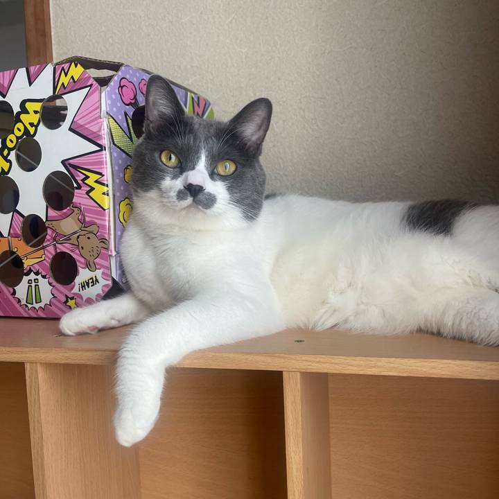 Ab274ac1 ff3e 40a7 8263 f50e929e43b7 1724627148179