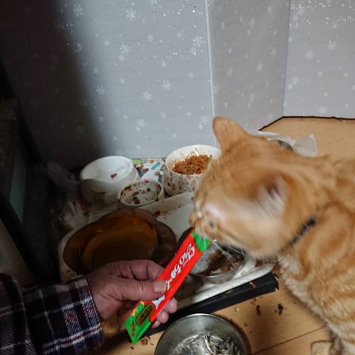 Ab27ee48 6720 46a2 8b7a d871e852cb9b 1639949569747