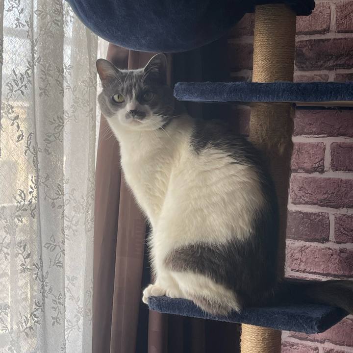 Ab27f0ea bb1f 421a 9ed6 2d7b18713820 1746568974244