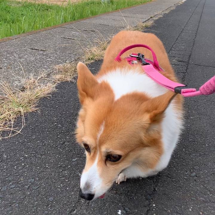 Ab27f181 f2f2 4004 90f7 40ab98c36c25 1635130752657