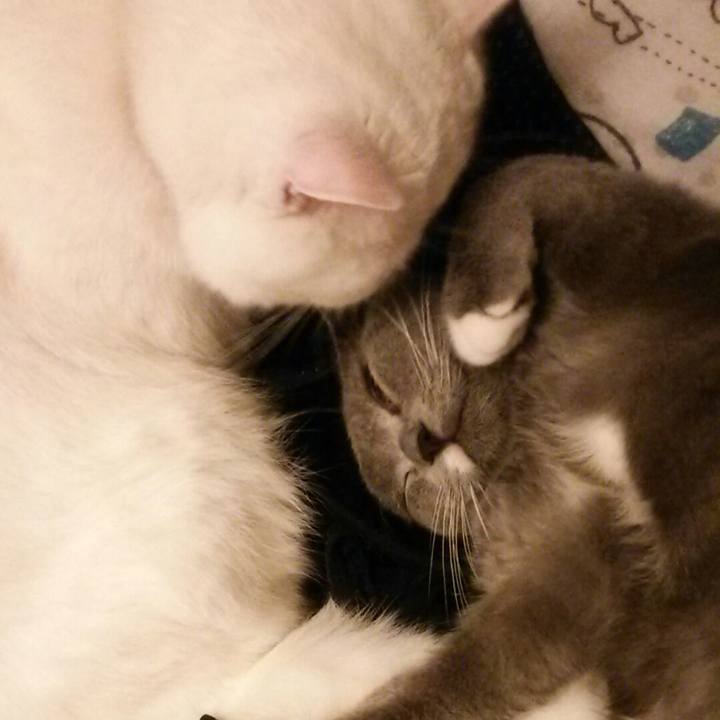 Ab2817b5 6cf5 4682 a938 52e34c2aebb6 1539608035114