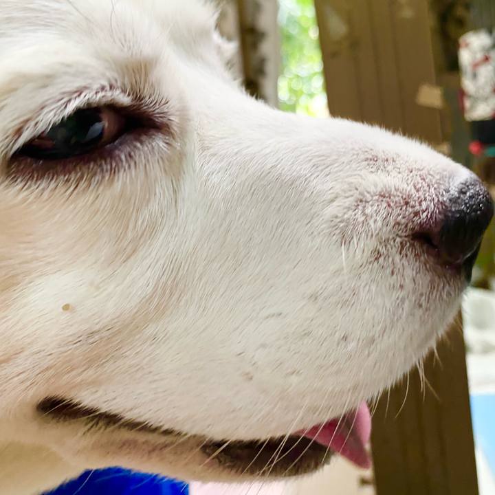 Ab28509a dda9 4fad 9559 9328f0f8f250 1664775482704