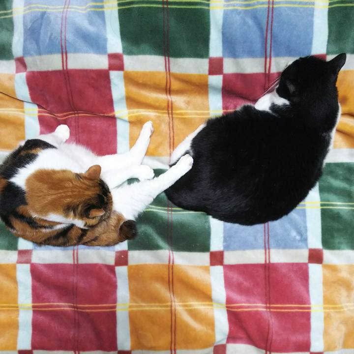 Ab28b9eb f138 4526 b275 a8ba577fb247 1538655664368