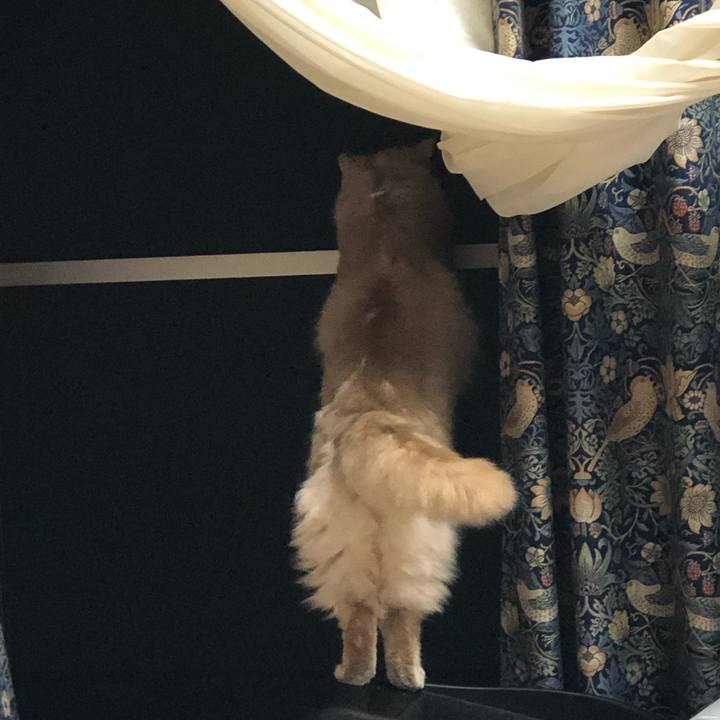 Ab29130a 23d4 4097 8e95 3dd6903ce544 1605777991099