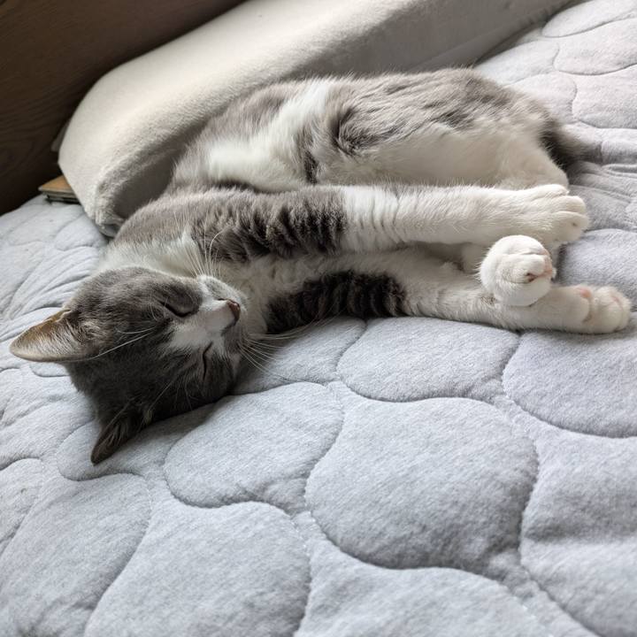 Ab2925d4 2eb6 45e1 912b 15c49198dd35 1757725560916