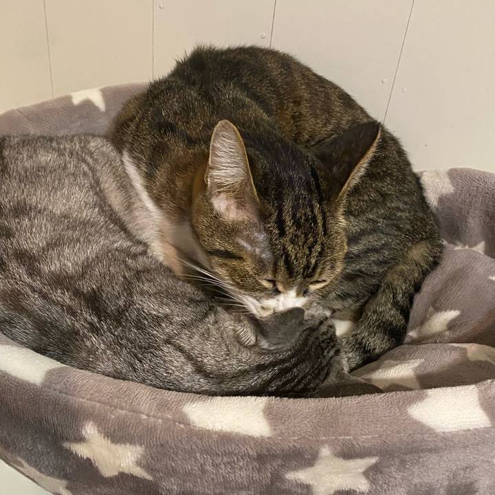 Ab29485c 8d94 4b1e 8ec7 6d6372eb5fca 1697481738646