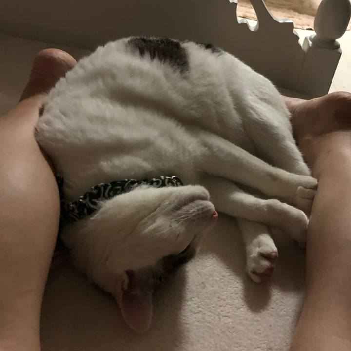 Ab297e8b 38ca 44d9 ab2c ab9063e513dc 1528411634999