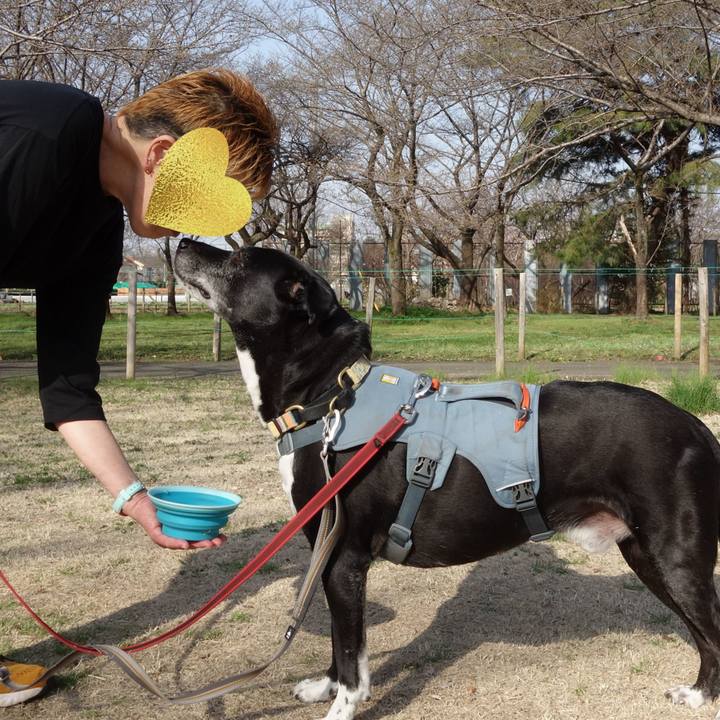 Ab29ace0 a282 4555 8fdd f69431c82224 1742948444806