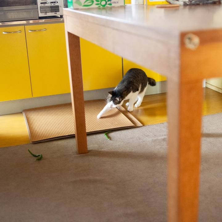 Ab29e981 27dc 4355 9960 7d9c0d58437d 1594094228997