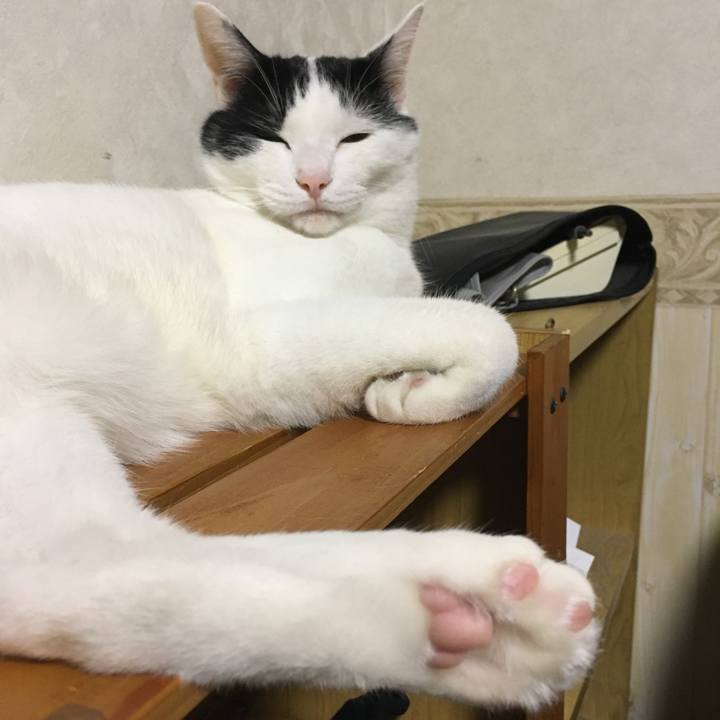 Ab29f9e1 e87d 44ca b622 d546375855b6 1533994718044