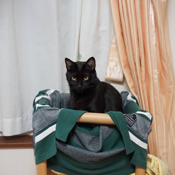 Ab2a1343 5ff0 4bbf a5d2 937656f2da3e 1557272682225