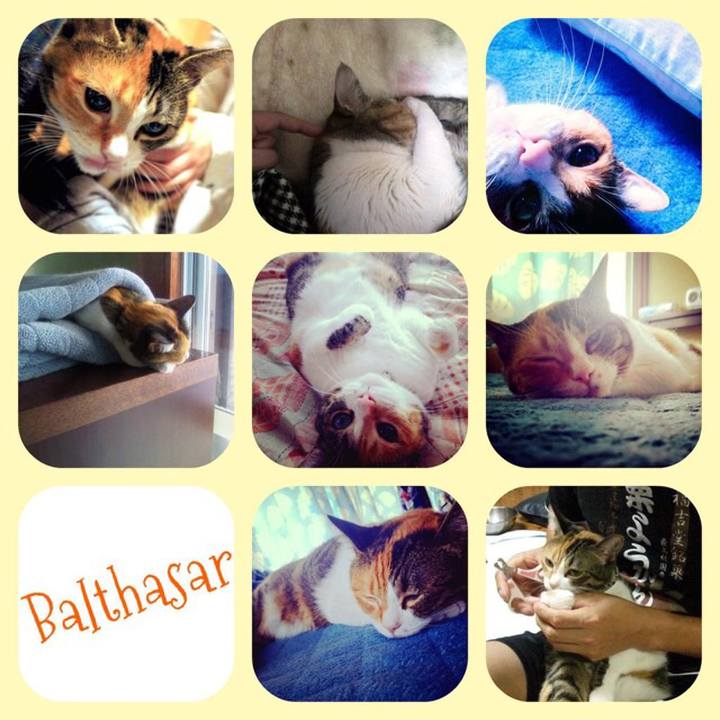 Ab2a1ee2 13cf 4051 9d38 eeca90351c05 1578882277861