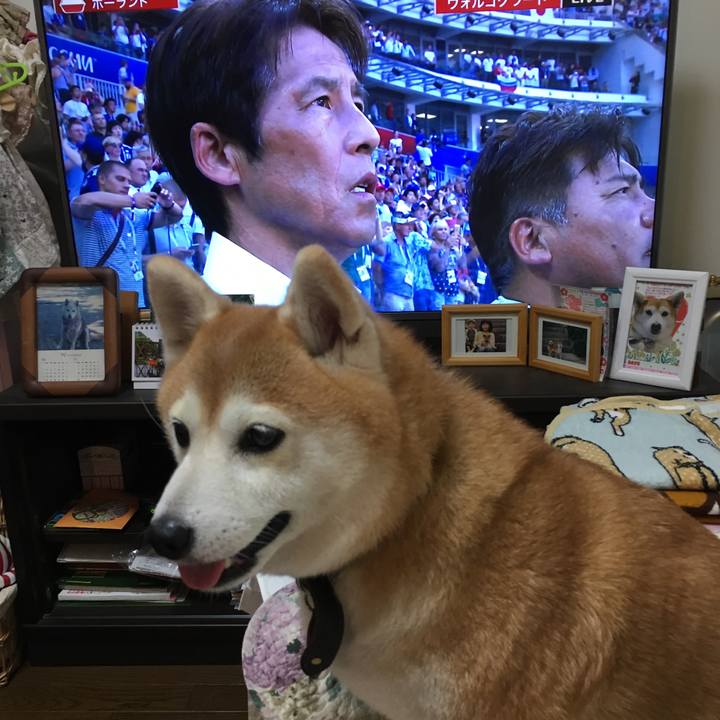 Ab2a571e e2a5 4dd9 808a 0cb33e1acd6a 1530194253254