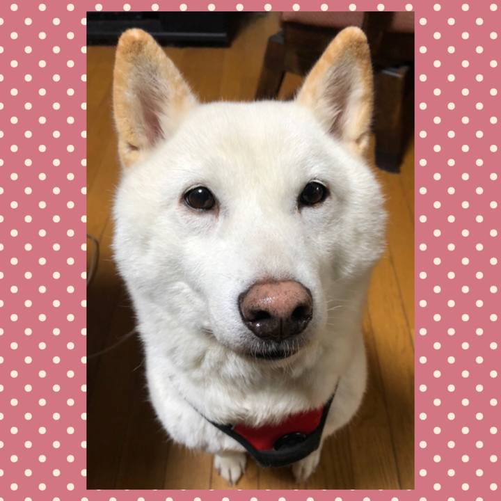 Ab2ab2ea 53f3 4e82 a49d a4b7cc388d9b 1609195689318