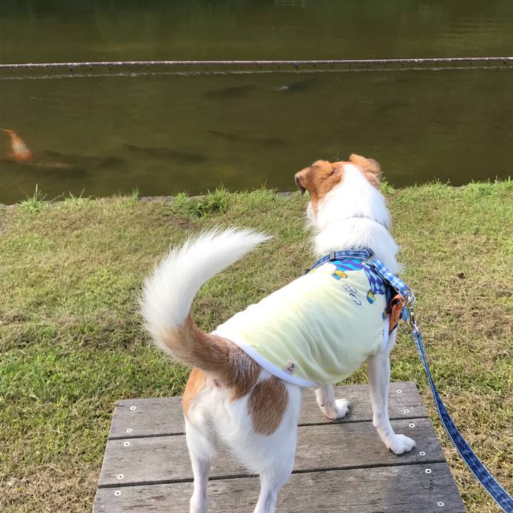 Ab2adb11 237b 4221 acca 2ee210ced6b6 1537682016730