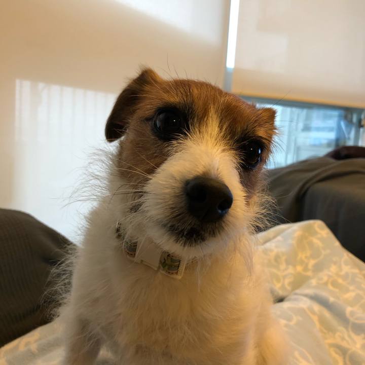 Ab2af321 e55d 4fcc b926 df45050236c0 1587161394573