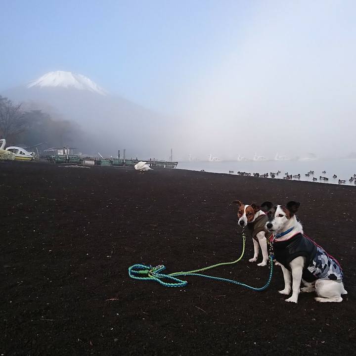 Ab2b6fa7 8eb2 4f2c 98ea d3700f5f84ea 1573339101961