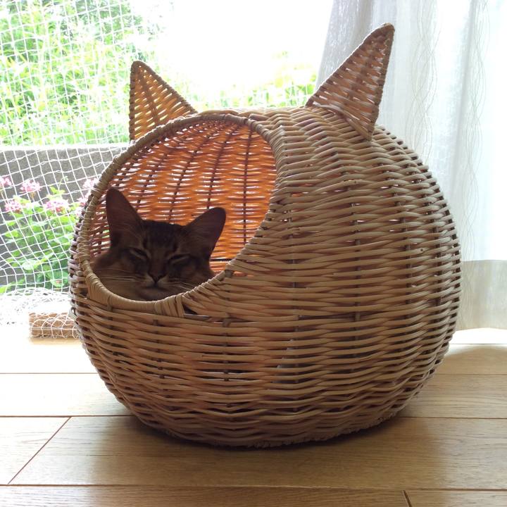 Ab2b7cb9 2a6a 49f4 a181 a132f442d7c0 1591167669026