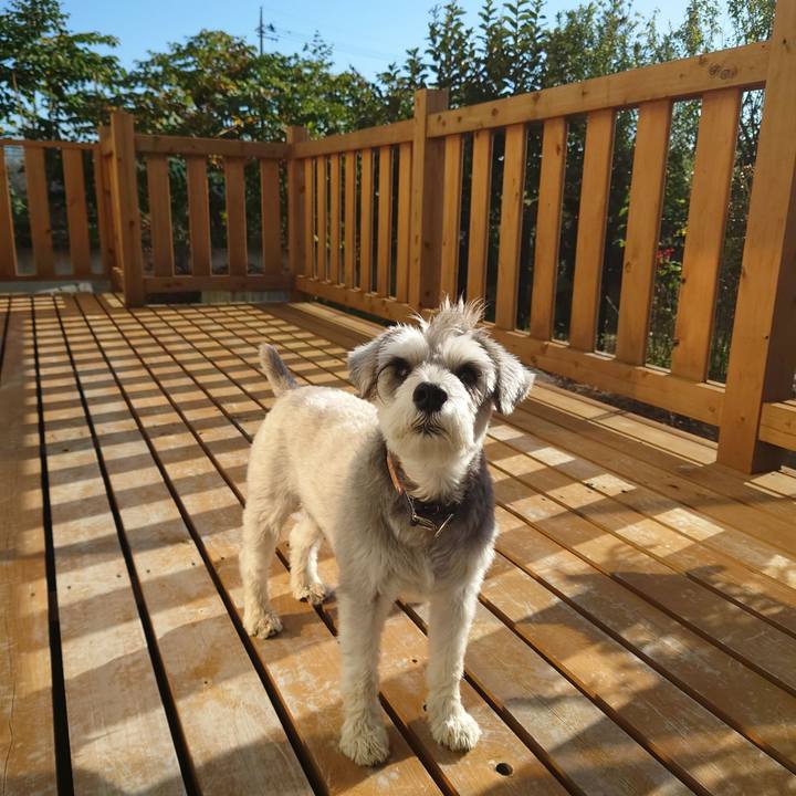 Ab2b84b8 85e1 4715 a87c 1f81be9fbb71 1758670603355