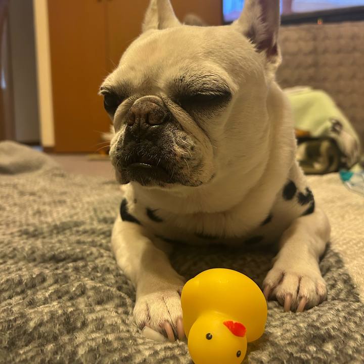 Ab2b9276 8775 42e0 b194 dd5b0683deef 1740917273141