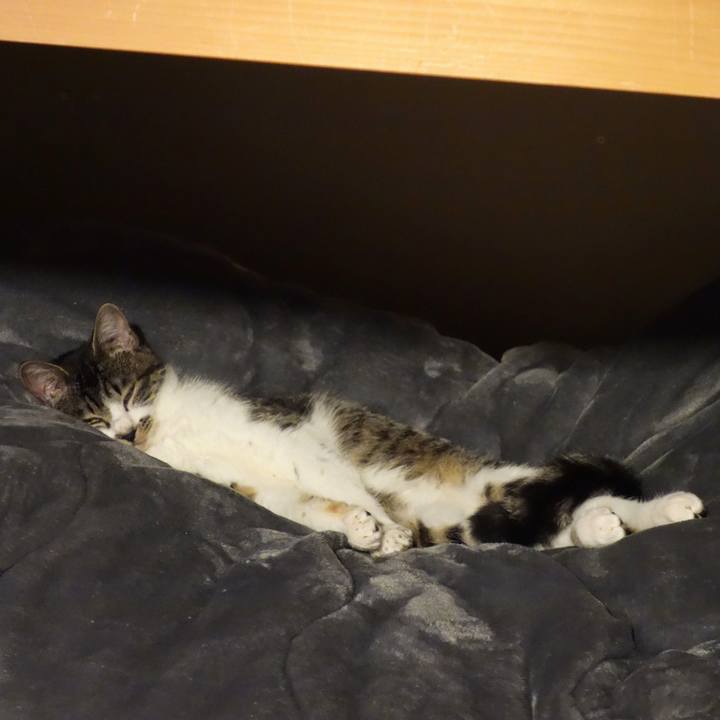 Ab2b9ad7 619d 4ef6 a3c5 918306dda711 1761815277129