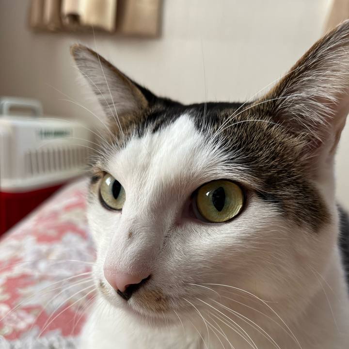 Ab2baf8e 6a38 417c af95 a3b5da58e78f 1637972501750