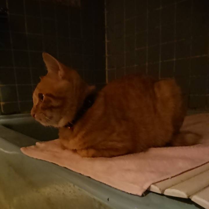 Ab2bbfd0 8560 41dd a016 b36cb57f368e 1636363004654