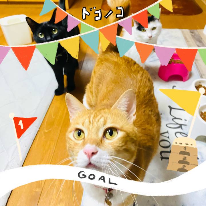 Ab2c2824 b8f5 482b a4c9 4b2d025504aa 1729084640675