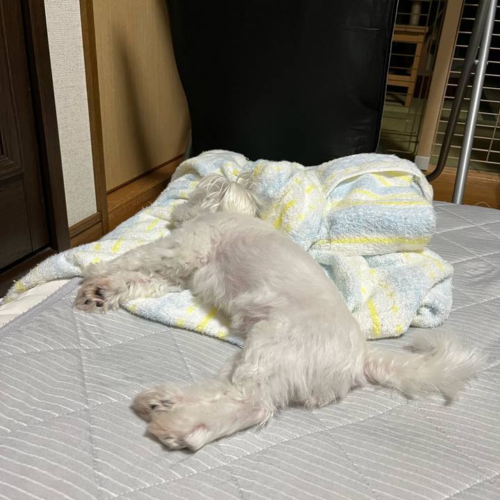 Ab2c3ab7 537b 4592 a88c 524029782c00 1688815832381