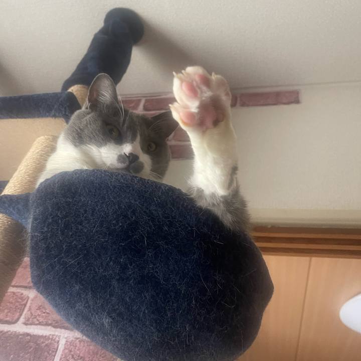 Ab2c7bb1 b19c 4ced b07f bee7b922d549 1711780189269