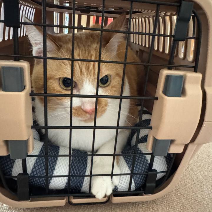 Ab2c86cd c886 474c 9bb2 cffe66fcec00 1756514986338