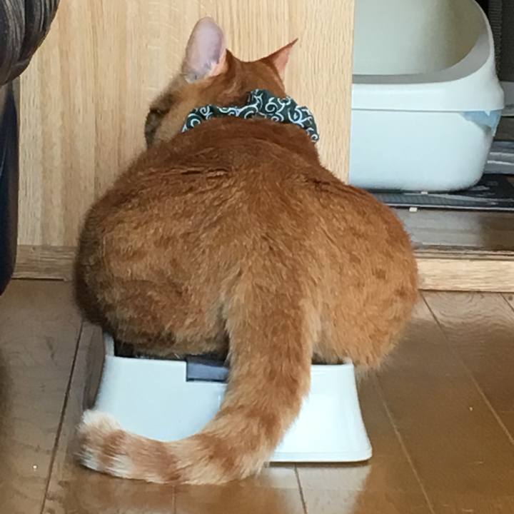 Ab2cbd7e a3fc 4292 a76c 7af765ca71fc 1566108425501