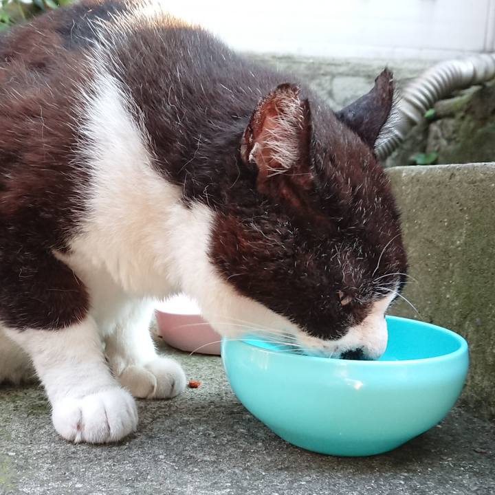 Ab2ce183 b70a 4014 bc96 7c69a10cb766 1689584435408