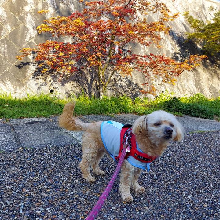 Ab2ce760 bbd4 4493 a1c6 91ebaa3a0df7 1744414203743