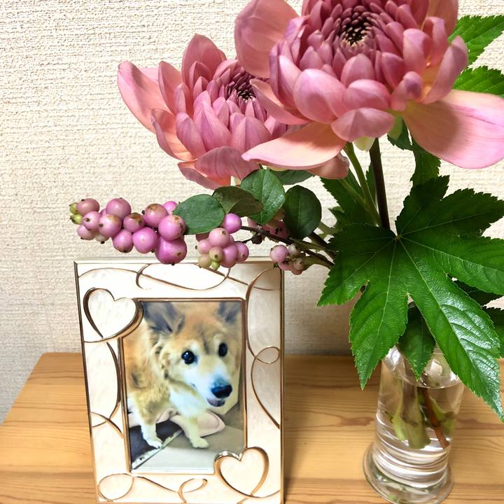 Ab2cf4d4 6143 4ffd b5b0 e7db1113288a 1569324855315