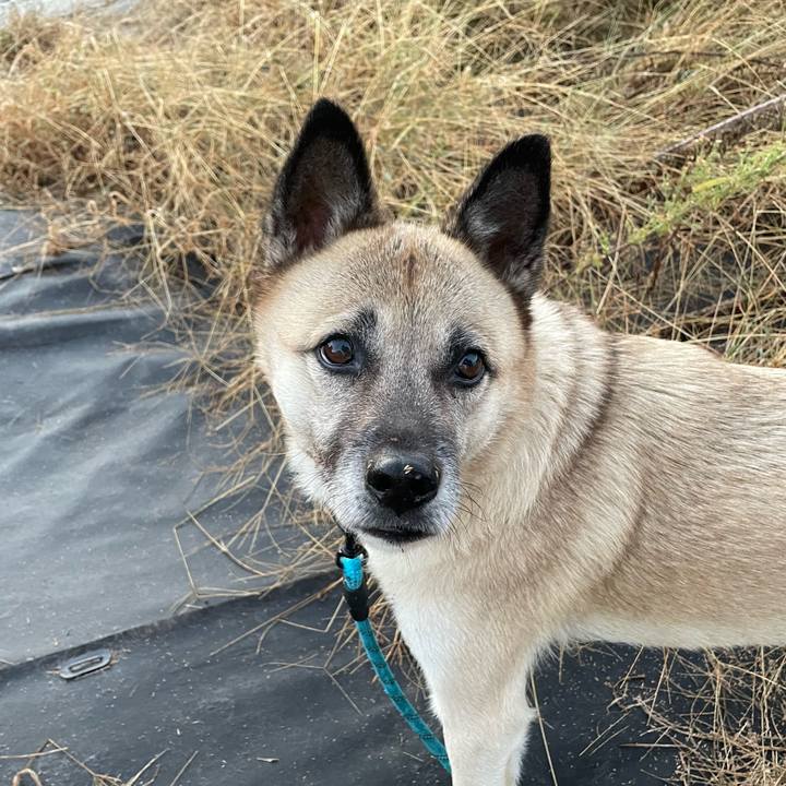 Ab2d4352 a2ca 468d b48c fd70662107c9 1699963289368