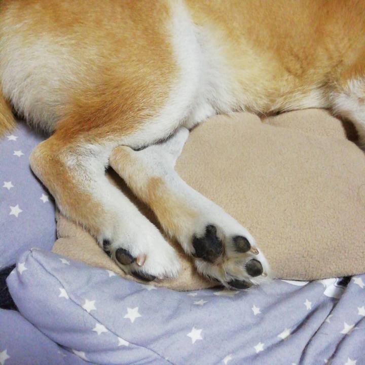 Ab2d8ac8 ae00 4dcf 9332 34515a120127 1622117172052