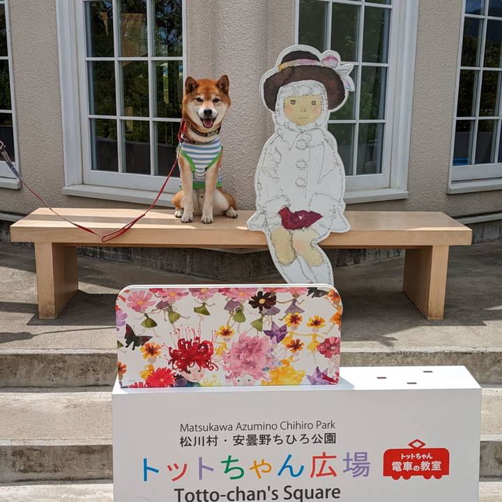 Ab2d9866 151e 46d6 a4c1 ff85ac59452c 1716765446839