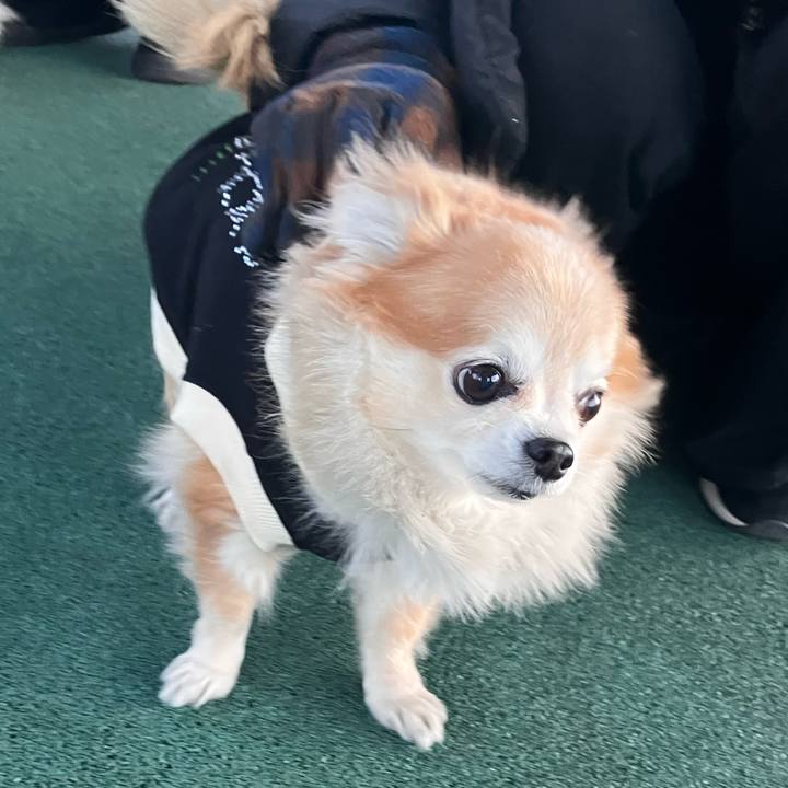 Ab2defdc bb93 446b 9191 f5b74ff0aefa 1769335330034