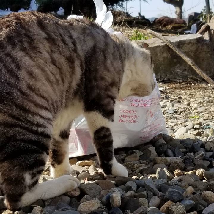 Ab2e05df de4c 412f 999f 799bc548648d 1619483832624