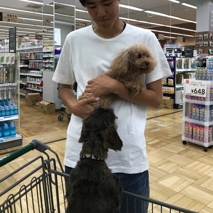 Ab2e2d1a f794 4aef bf5b 246bbfe38c04 1530099378650