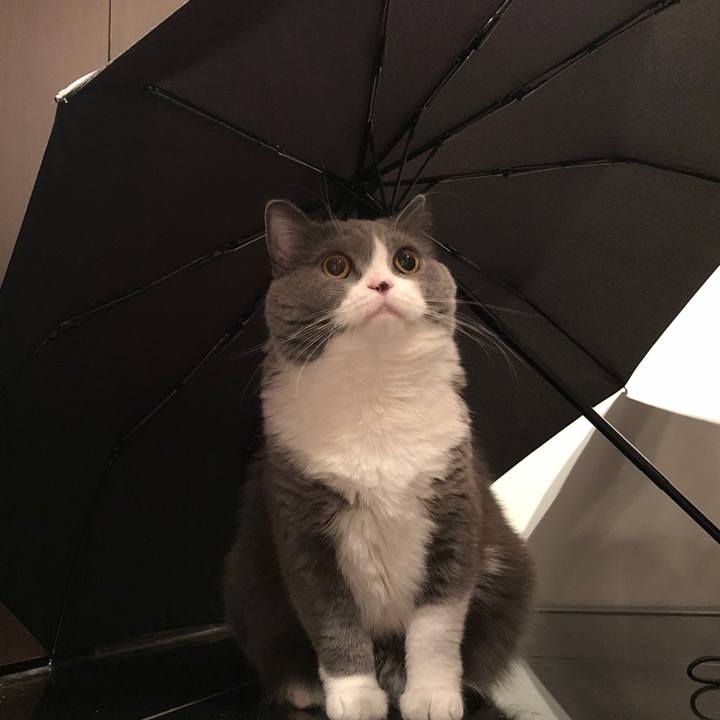 Ab2e669a fdc2 4adf bffd bf7c6f092b1c 1524611451756