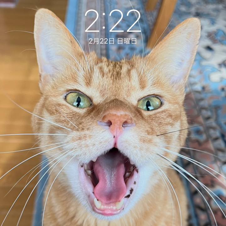 Ab2ea15e 6c4d 45e3 ac4b d45eb83fd5e8 1771740077663