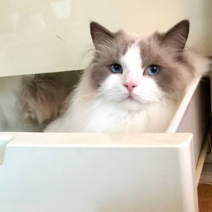 Ab2ea409 4f78 4d58 b34d bacb7b025921 1595754981834