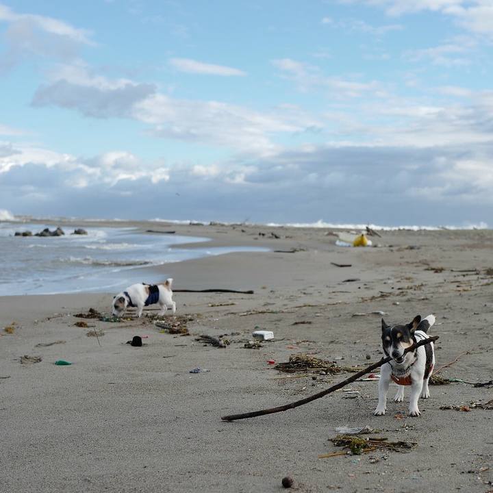 Ab2eb067 d9e2 4052 9309 d54eb483ef91 1540959455435