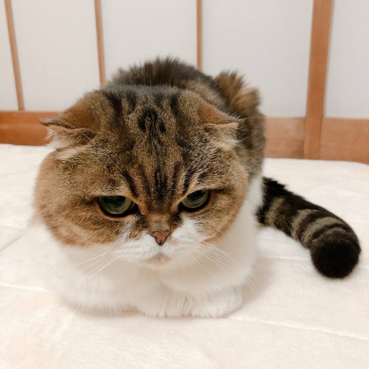 Ab2ee133 9f45 40da be22 daf6f494b3ba 1586872627789