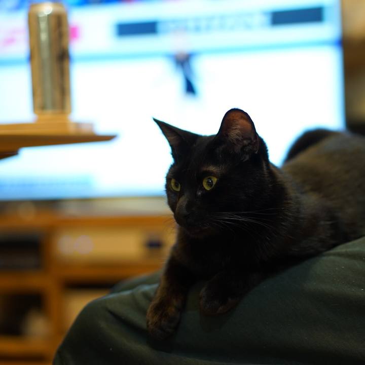 Ab2ee5ac 350b 4e44 8304 16402c89395b 1553266989445